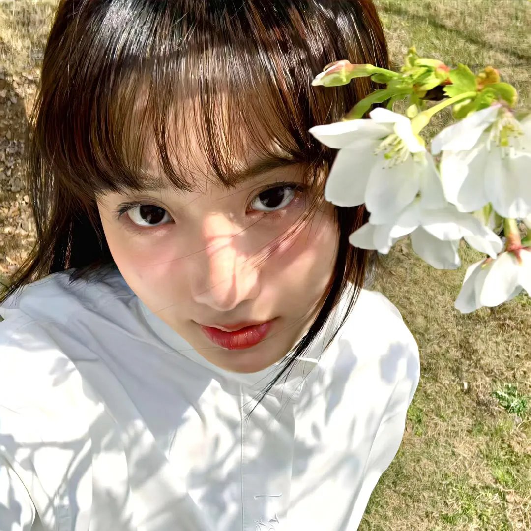笑侠楚留香