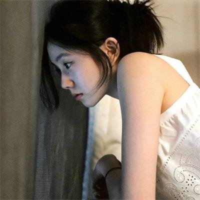 狮子彻夜未眠